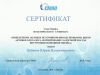 sertifikat_2010_1